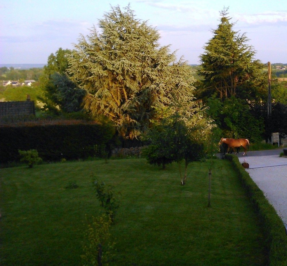 Gite Et Chambres D'Hotes Gandelain Exterior photo